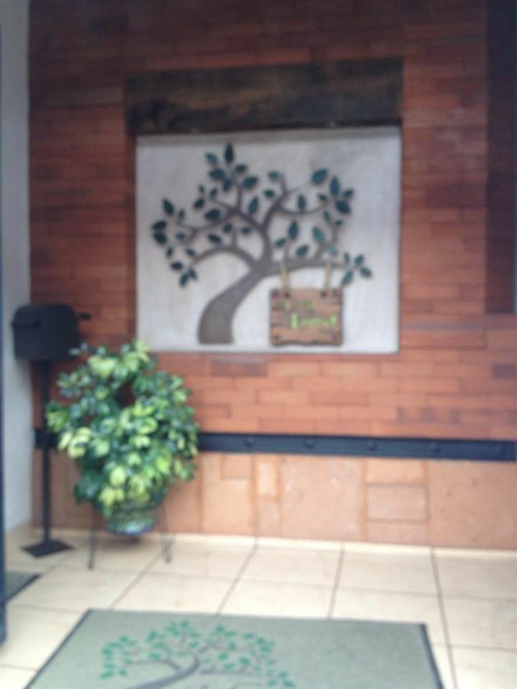 Hotel La Casa Del Laurel Taxco de Alarcon Zewnętrze zdjęcie